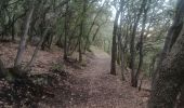 Tocht Stappen Château-Arnoux-Saint-Auban - SAINT AUBAN . SENTIER DE DÉCOUVERTE DE L AÉRODROME  O L  - Photo 9