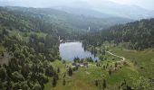 Tour Zu Fuß Le Valtin - 20. Les belvédères des trois lacs - Photo 7