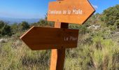 Trail Walking Grasse - Mont Doublier  - Photo 2