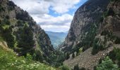 Trail Walking Queralbs - Nuria xanascat 250723 - Photo 6