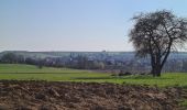 Tocht Stappen Soultz-sous-Forêts - Le sentier des cimes depuis Soultz - Photo 1