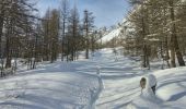 Trail Touring skiing Névache - mont thabor - Photo 4