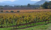 Tour Wandern Les Arcs-sur-Argens - Chemin de Compostelle de Abbaye Celle Roubaud à Lorgues par Ermitage St Ferréol - Photo 14