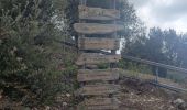 Tocht Stappen Riomaggiore - Riomaggiore to Porto Venere  - Photo 14