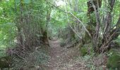 Tocht Stappen La Bourboule - La Bourboule - Funiculaire - Roche des Fées  - Photo 4