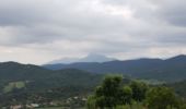 Trail Walking La Londe-les-Maures - Dolmen de Gaoutabry - Photo 3