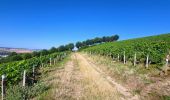 Tour Zu Fuß Joigny - Boucle 25 km Joigny La Roche - Photo 12