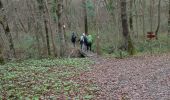 Trail Walking Fanjeaux - Fanjeaux  Boucle de la Hille  - Photo 8