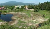 Tour Zu Fuß Zobten am Berge - Strzeblów - Jordanów Śląski - Photo 2