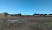 Trail Walking Sainte-Marie-la-Mer - sainte marie la mer - village et plage  - Photo 15