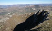 Tocht Stappen La Roche-sur-le-Buis - la montagne de Banne  - Photo 1