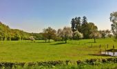 Tour Zu Fuß Raeren - Freyenter Wald - Photo 3