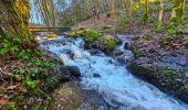 Randonnée Marche Gedinne - Balade à Patignies - Gedinne - Photo 19