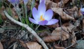 Trail Walking Rouen - 20220217-Le Sentiers des 3 Vallons - Photo 5