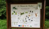 Tour Wandern Ventes-Saint-Rémy - Forêt d'Eawy rando douce - Photo 2