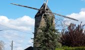 Tocht Stappen Doué-en-Anjou - Doué-la-Fontaine  - Photo 6