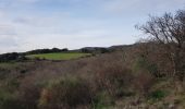 Randonnée Marche nordique Octon - Octon Dolmens de Toucou - Photo 12