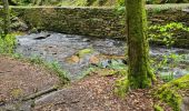 Tour Wandern Aubazines - Reco-Lac de Coiroux-2024-04-25 - Photo 13