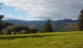 Trail Walking Schirmeck - Schirmeck - sentier du Colbéry - Photo 3