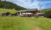 Percorso Marcia Luson - Lüsner Alm - Sommet du Campill - Photo 2