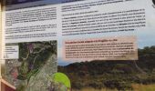 Excursión Senderismo Fréjus - z le plan Guinet 30-04-19 - Photo 2