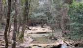 Randonnée Marche Nans-les-Pins - Source de l’huveaune - Photo 12