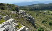 Randonnée Marche Saint-Vallier-de-Thiey - St Vallier : Colle du  maçon doublier  - Photo 6