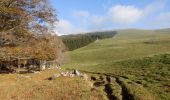 Randonnée Marche Omblèze - Plateau d'Ambel 15km - Photo 3