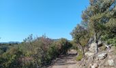 Trail Walking Ansignan - sentier des dolmens en fenouillèdes - Photo 5