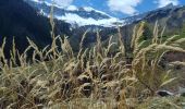 Trail Walking Champoléon - 20190514_Les Fermonds_Refuge du Tourond_Les Bouquetins - Photo 1