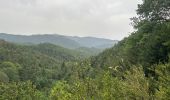 Trail Horseback riding Valle de Hecho - Siresa - Anso  - Photo 10