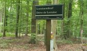 Tocht Stappen Sint-Genesius-Rode - 2020-09-01 - Forêt de Soignes- Rhode Saint Genève  - Photo 14