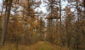Trail Walking Maaseik - 2021-11-06_16h45m30_930 - Photo 6