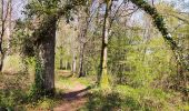 Tocht Stappen Chimay - Promenade de l’eau blanche  - Photo 5