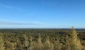 Tocht Stappen Raismes - Forêt de Raismes - Photo 1