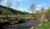 Tour Zu Fuß Feistritz am Wechsel - Feistritz am Wechsel - Hollabrunn über Steinbichel - Photo 7