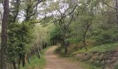 Trail Walking Gonfaron - Notre dame des anges par notre dame du figuier - Photo 13