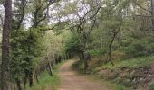 Tocht Stappen Gonfaron - Notre dame des anges par notre dame du figuier - Photo 13