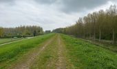 Tour Wandern Hamme - Kastel 15,5 km - Photo 11