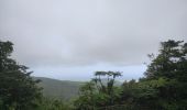 Trail Walking Capesterre-Belle-Eau - chutes du carbets 1 et 2 🇬🇵 - Photo 1