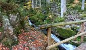 Randonnée Marche Gérardmer - Cascade /observatoire de Menelle  - Photo 11