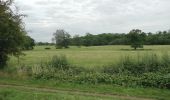 Tocht Te voet Wychavon - Hanbury Circular Walk - Photo 2