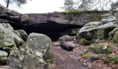 Tour Wandern Moret-Loing-et-Orvanne - Boucle Moret sur Loing - Montigny sur Loing + Forêt de Fontainebleau - Photo 4