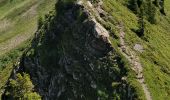 Randonnée Marche Arâches-la-Frasse - Vernant Grands Vans par le col de Véret - Photo 5