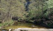 Randonnée Marche Berrias-et-Casteljau - Gorges du Chassezac - Photo 8