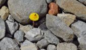 Tocht Te voet Marktgemeinde Matrei in Osttirol - Gletscherlehrweg Innergschlöss - Photo 4