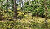 Randonnée Marche Fontainebleau - carrefour  de Vienne - Photo 10