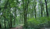 Tour Wandern Châteauvillain - Créancey. Marche à travers champs et forêts  - Photo 2