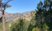 Tour Wandern Quenza - Col de Bavella-Conca Étape GR - Photo 6