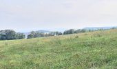 Percorso Marcia Bouxières-aux-Chênes - bouxieres aux chênes - la tour de crany - Photo 2